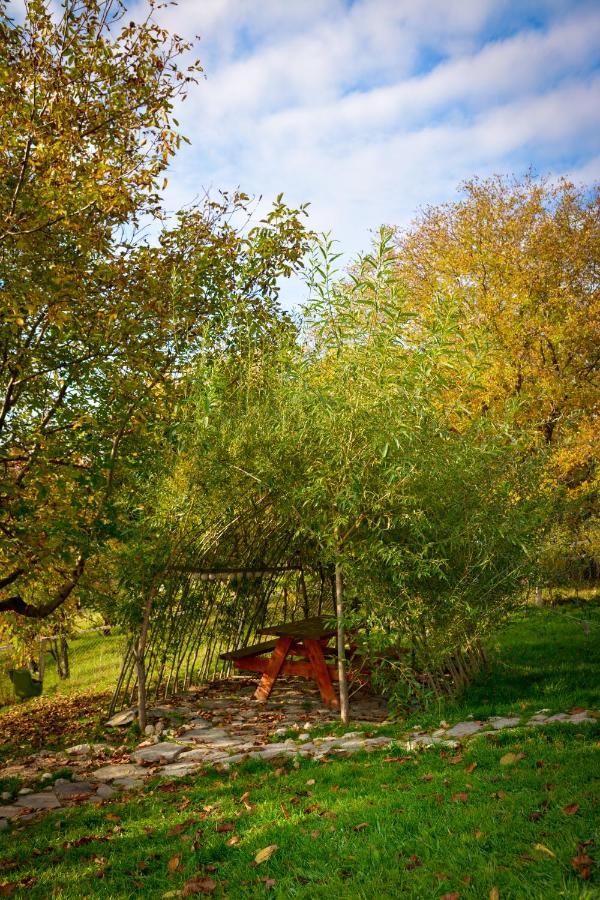 Casa Wezly Βίλα Măgura Εξωτερικό φωτογραφία