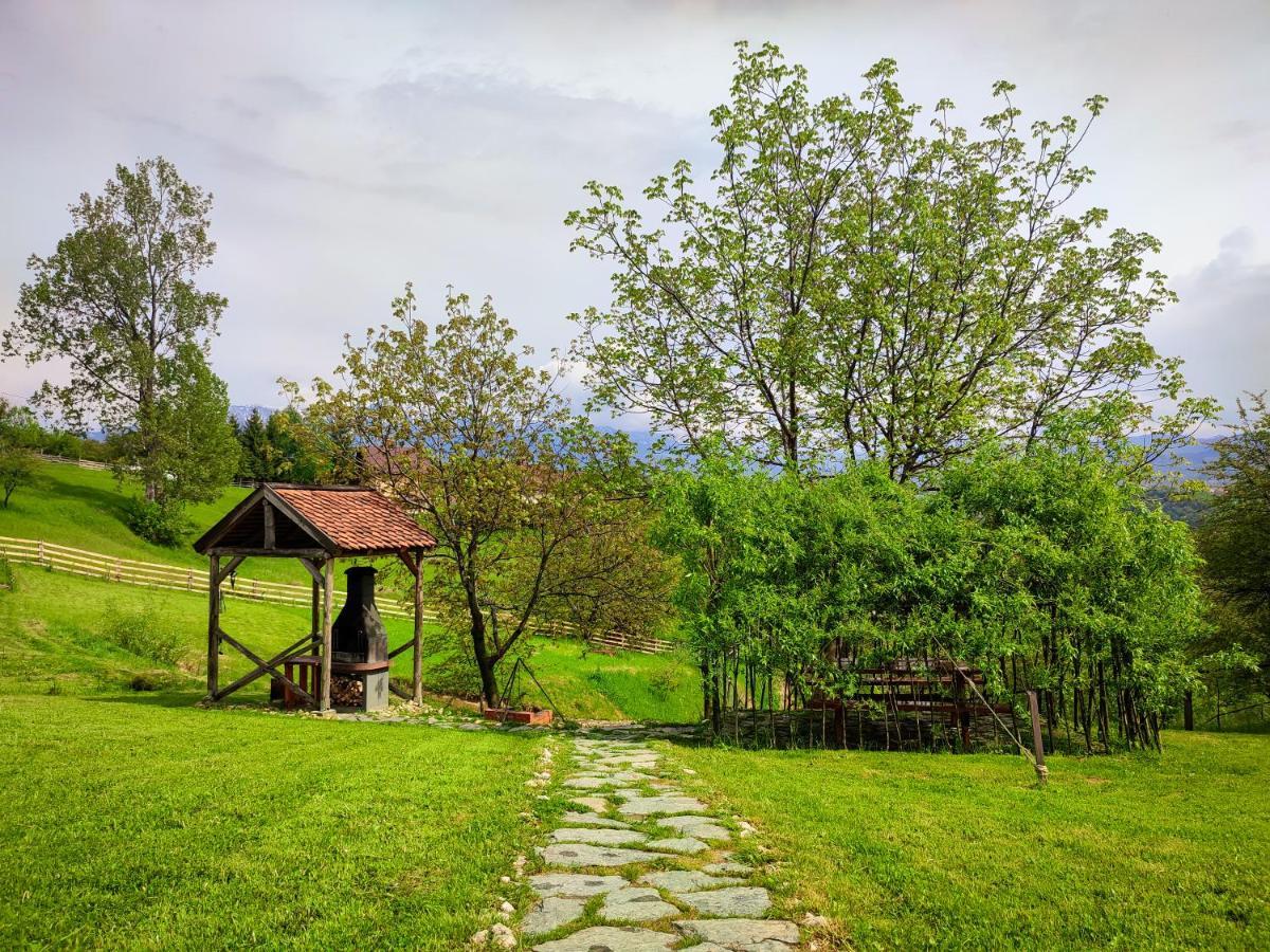 Casa Wezly Βίλα Măgura Εξωτερικό φωτογραφία