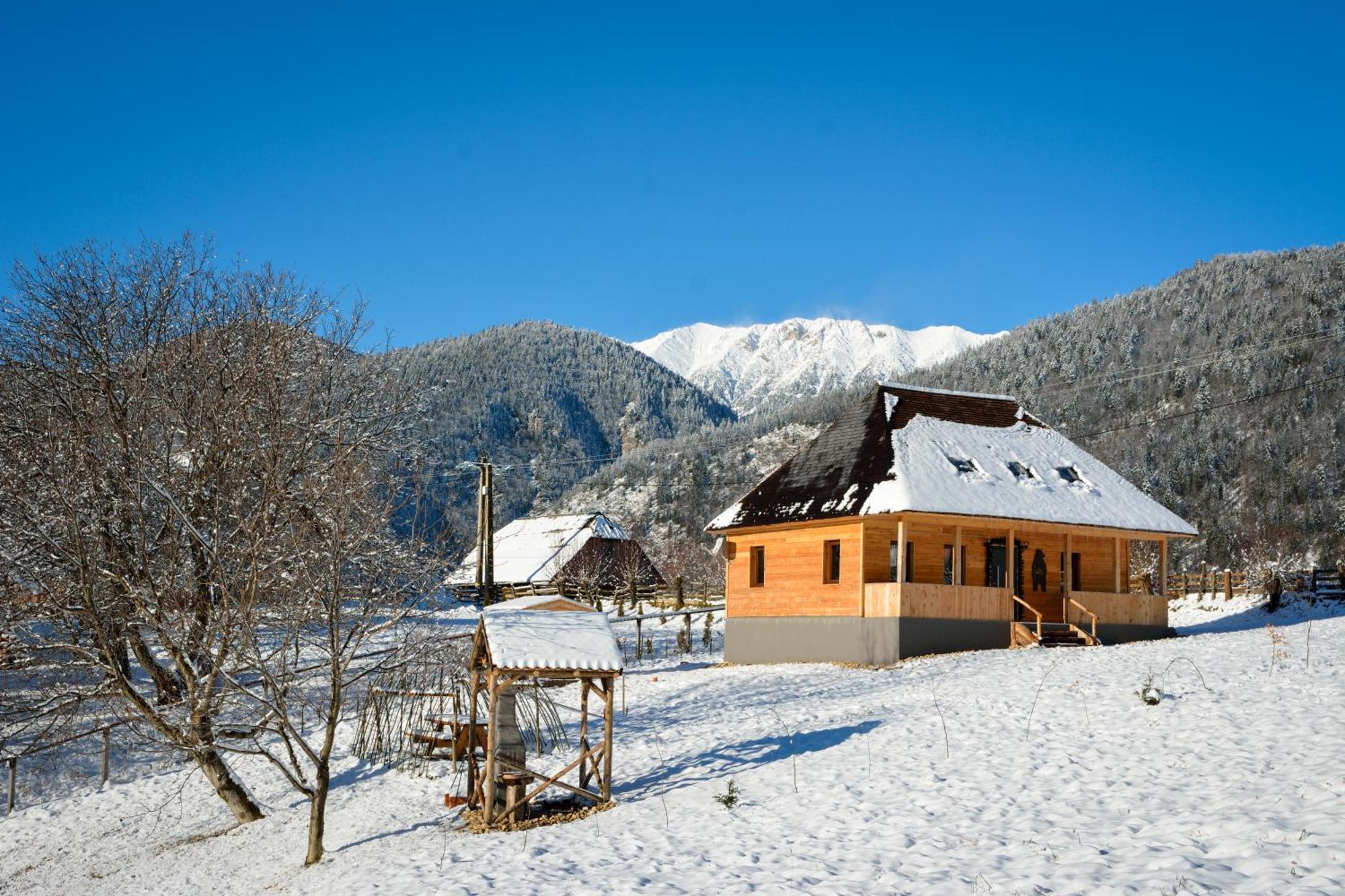 Casa Wezly Βίλα Măgura Εξωτερικό φωτογραφία
